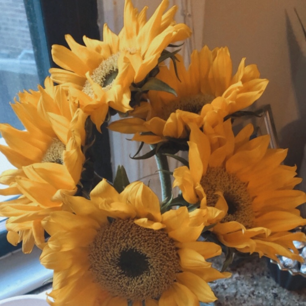 Meet your Posher, Jordana